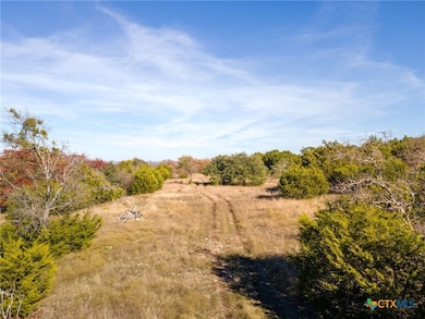 TBD Farm Road 1690, Lampasas, TX 76550 - photo 7