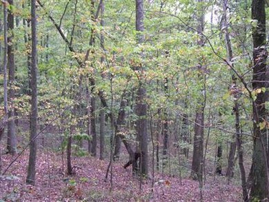 0 Haynes Knob Rd unit 3010935, Somerset, KY 42501 - photo 2