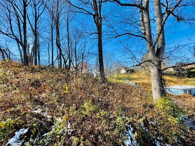 0 Virginia St, Fayetteville, WV 25840 - photo 4