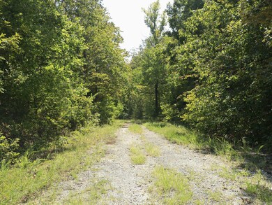 210 Bo Peep Cir, Horseshoe Bend, AR 72512 - photo 4