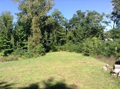 0 Redbird Ln unit 14053105, Niles, MI 49120 - photo 4