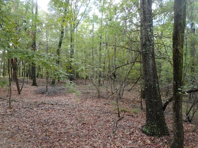 0 Anding Oil City Rd unit 25080163, Bentonia, MS 39040 - photo 2