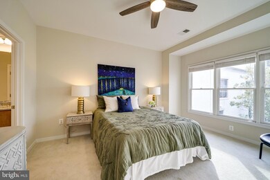 828 Montgomery St, Alexandria, VA 22314 - photo 4