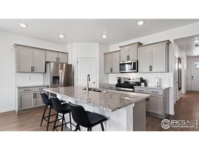 4709 Lynxes Way, Loveland, CO 80534 - photo 6