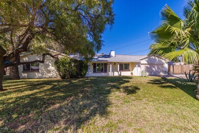 0002-Coronado - 3934 (1)