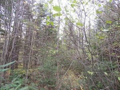 ON Cth T, Tripoli, WI 54564 - photo 3