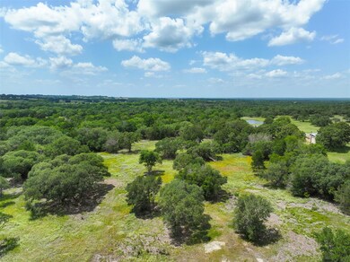Aerial view of a forest