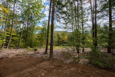 12-12-10-4 Jacob Hall Farm Rd, Rumney, NH 03266 - photo 6