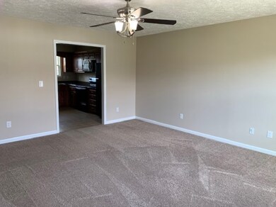 135 Hunt St, Manchester, TN 37355 - photo 4