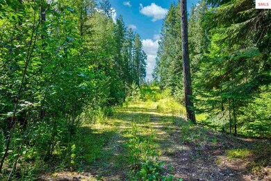 721 Wood View Rd, Sandpoint, ID 83864 - photo 5