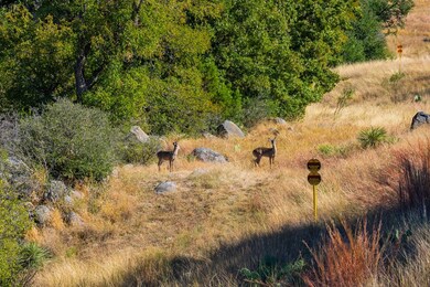 527 Walter Rd, Fredericksburg, TX 78624 - photo 7