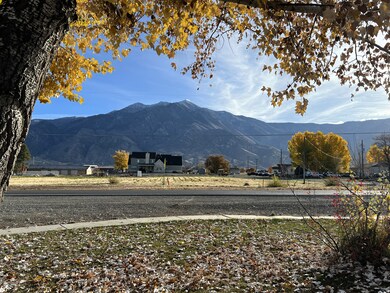 190 S Main St, Mona, UT 84645 - photo 2