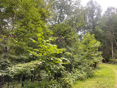 255 Oxford Cir, Ranger, GA 30734 - photo 3