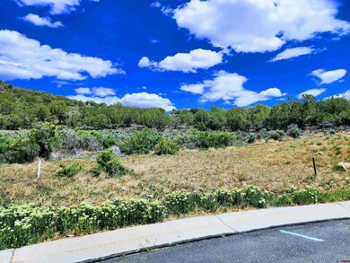 605 & 615 SE Pine St, Cedaredge, CO 81413 - photo 2