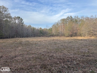 5600 Old Vinton Rd unit West Point MS 39773, West Point, MS 39773 - photo 3