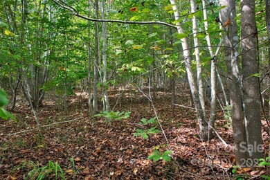 0 Chimney Creek Ln unit 194 CAR3897982, Rutherfordton, NC 28139 - photo 2