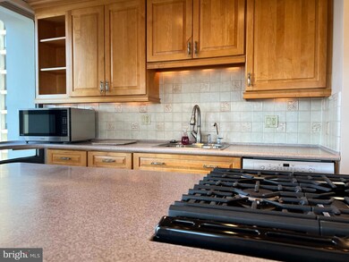 Society Hill Towers unit 12GN, Philadelphia, PA 19106 - photo 7