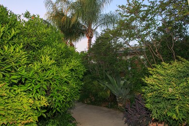 Entry Garden Pathway