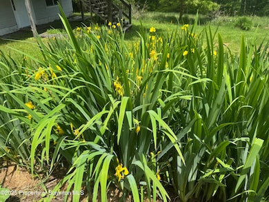 120 Tara Ct, Kingsley, PA 18826 - photo 4