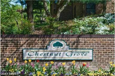 11200 Chestnut Grv Square unit 203, Reston, VA 20190 - photo 2