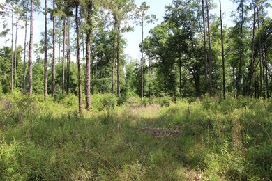 0 N Old Us Rd unit 23669197, Marianna, FL 32447 - photo 6