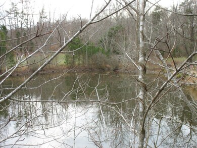 346 Fox Branch Run, Louisa, VA 23093 - photo 5