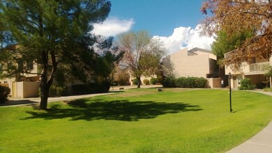 Park View