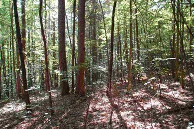 157 Honeywood Dr, West Union, SC 29696 - photo 6