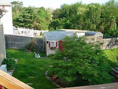 Yard/Garden.