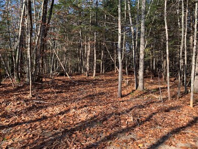Lot 18 Old Cluff Rd, Kennebunkport, ME 04046 - photo 3