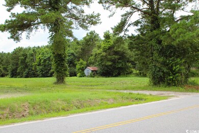 36.2 Acres Privetts Rd unit 36.20 Acres, W/20' R, Conway, SC 29526 - photo 4