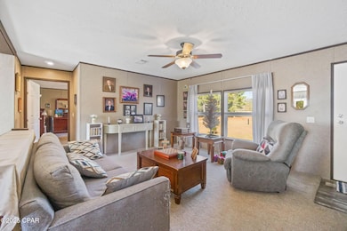 2582 Schmidt Ln, Chipley, FL 32428 - photo 4