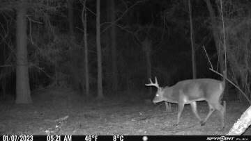 0 Beard Boyd Rd, Tylertown, MS 39667 - photo 3