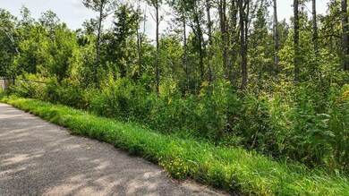 TBD3 Winter Creek Ct, Fairview Township, MN 56468 - photo 7