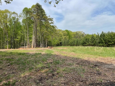 0 Snow Hill Rd unit 70970, Alton, VA 24520 - photo 6