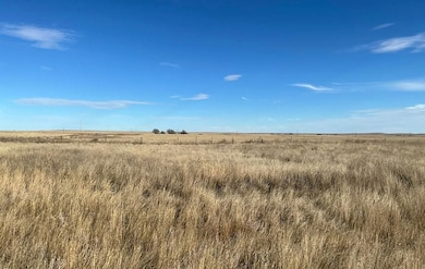 Road 146, van Tassell, WY 82225 - photo 6