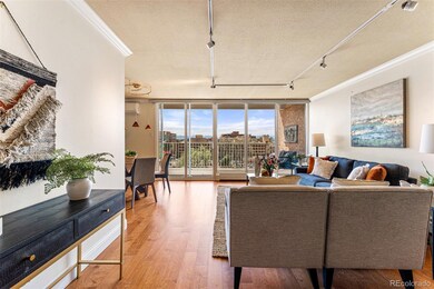 Open and Light Filled Living Area