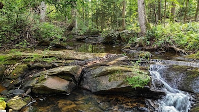 225 W Chapman Rd, Belton, SC 29627 - photo 6