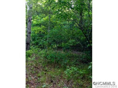 Overgrown Home Site w/ Septic