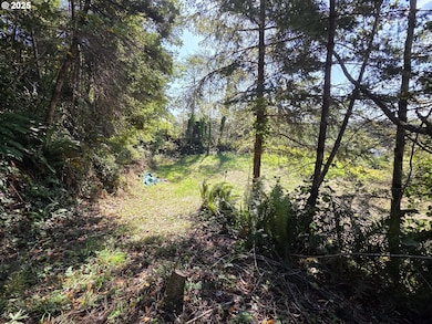 0 Hillside Acres Rd unit 124 148353947, Gold Beach, OR 97444 - photo 5
