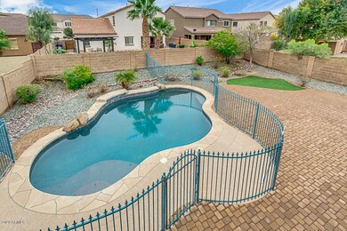 Amazing Back Yard!