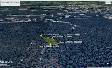 0 Defuniak Springs unit FL 32433, Defuniak Springs, FL 32433 - photo 2