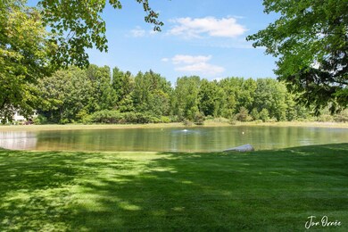 Pond