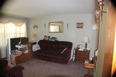 Living room with carpet