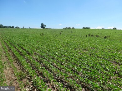 5 Meadow View Ln, Rixeyville, VA 22737 - photo 5