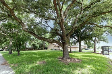 7903 Antoine Dr, Houston, TX 77088 - photo 6