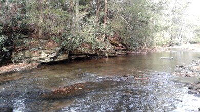 0 Whites Creek Rd unit 8-7993, Unamis, PA 15424 - photo 3
