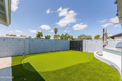 IMG0419-2