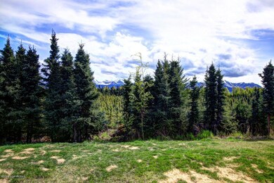 Back yard from deck
