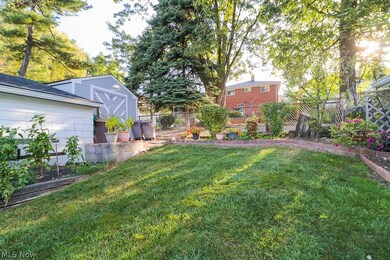 Backyard with shed